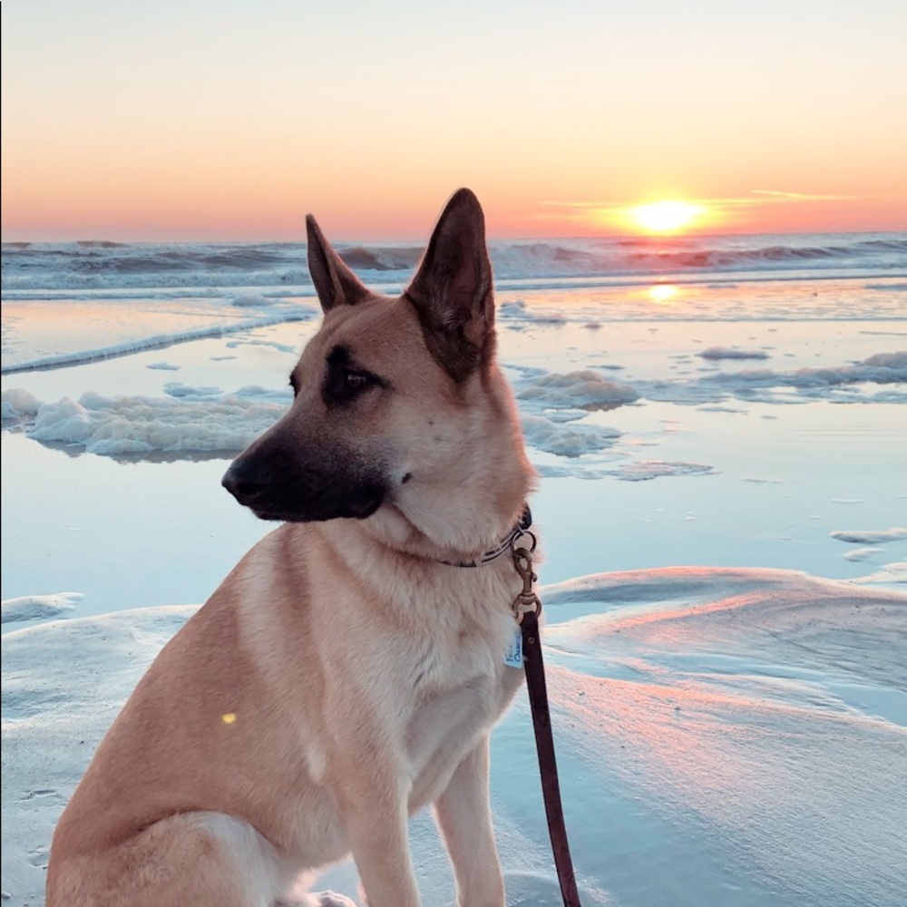 Meet your Posher, Christina